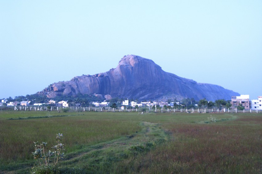 オタッカダイ Othakkadai  (Madurai)