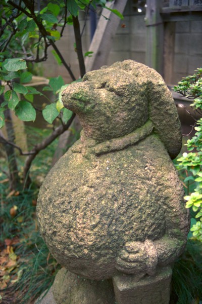 高円寺（東京）koenji 3