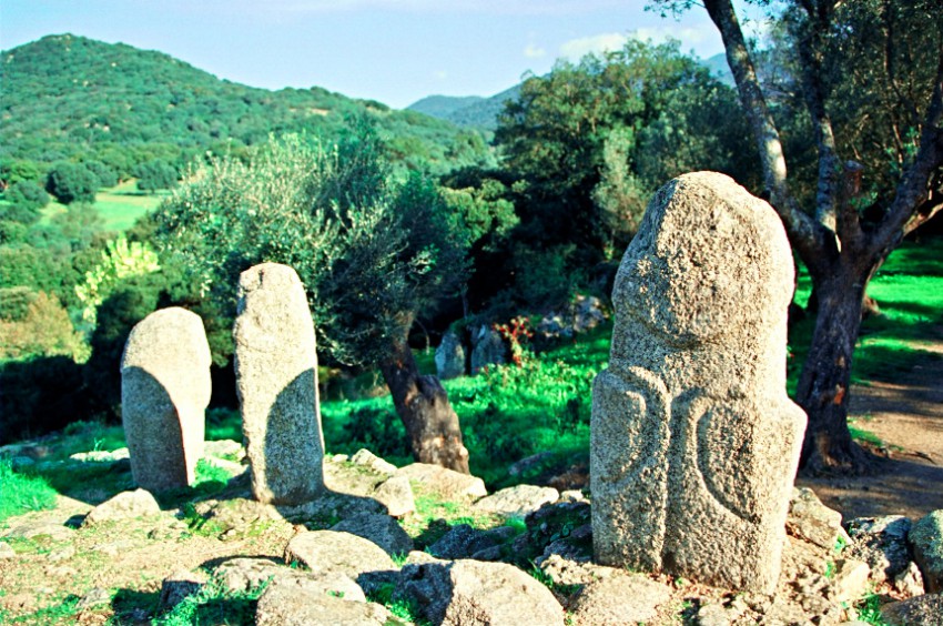 コルシカ島フィリトーザ Fiiitosa (Corsica) 05