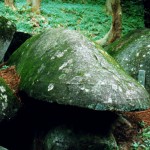 名草巨石群（足利）nagusa rocks (ashikaga) 2