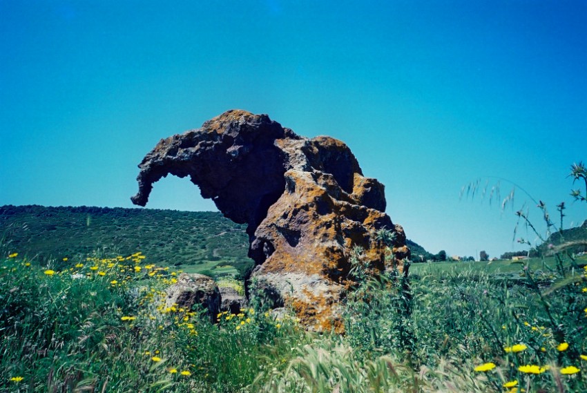 エレファントロック（サルディニア島）Castelsardo (Sardegna)