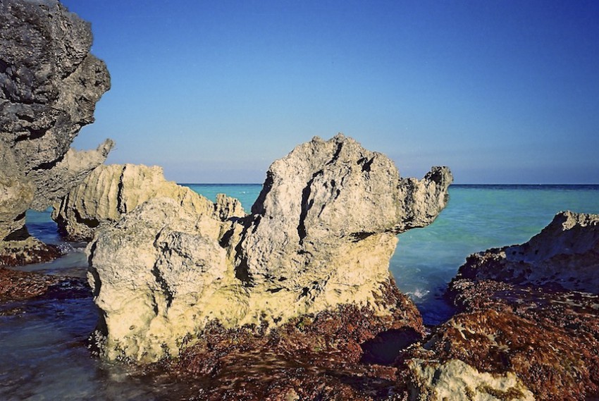 トゥルム遺跡 Tulum ruinas 3